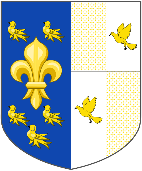 Shield image