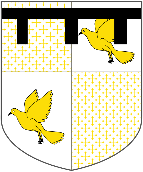 Shield image