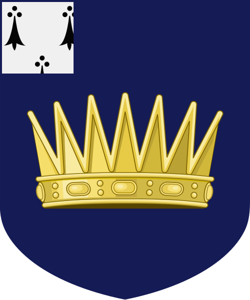 Shield image