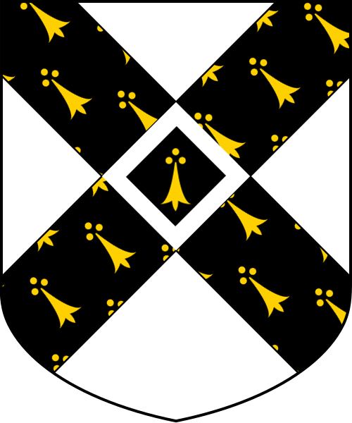 Shield image