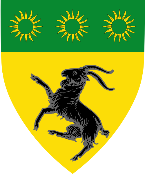 Shield image