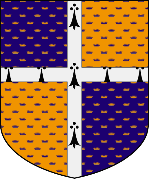 Shield image