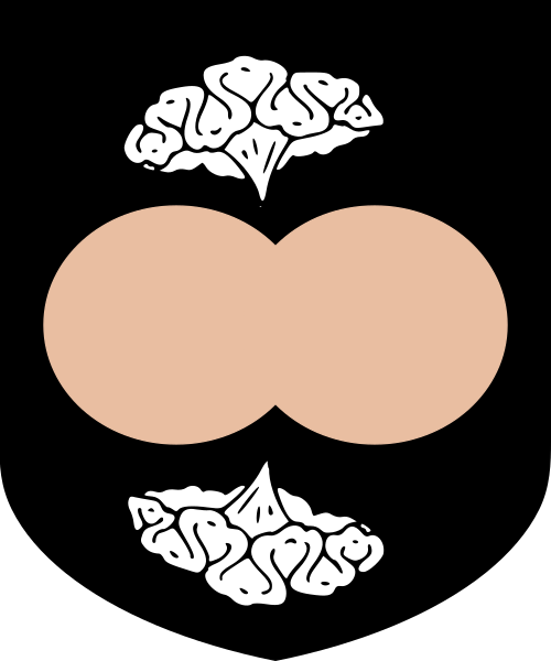 Shield image