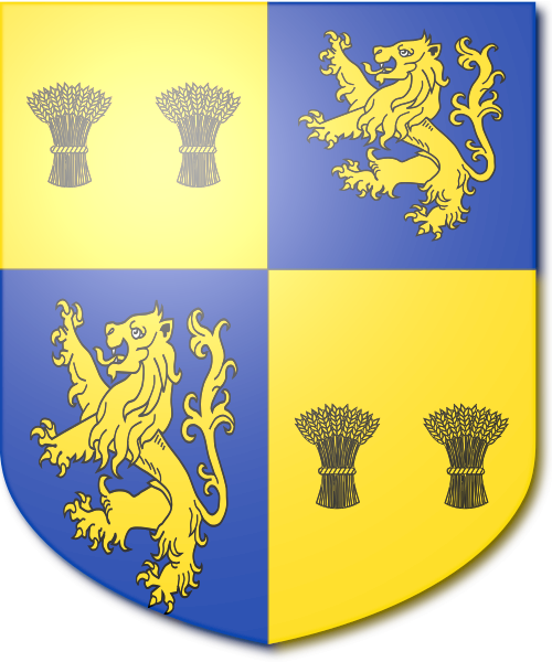 Shield image