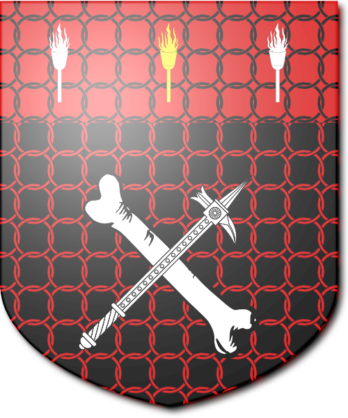 Shield image