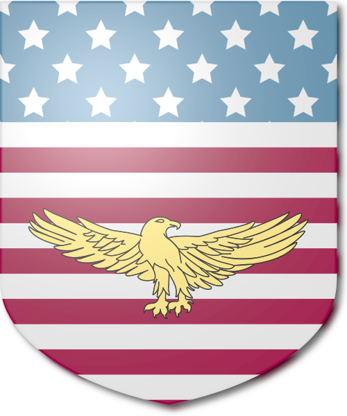 Shield image