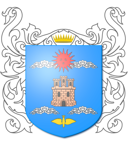 Shield image