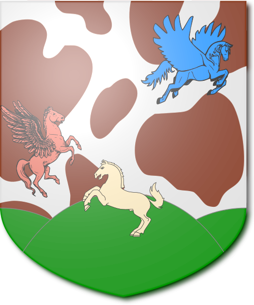 Shield image