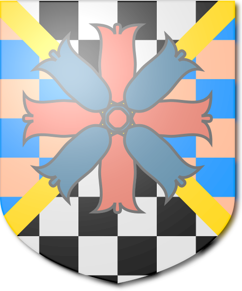 Shield image