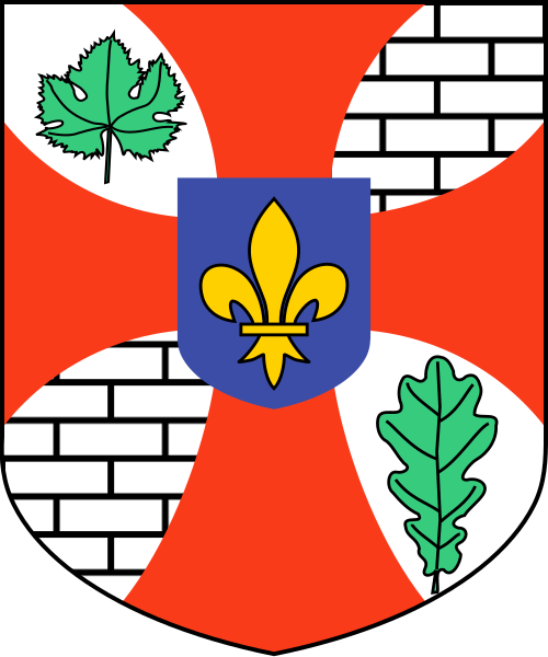 Shield image