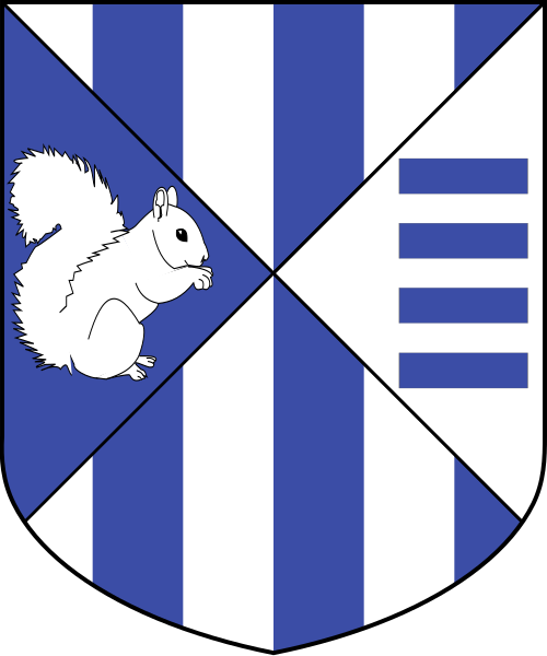 Shield image
