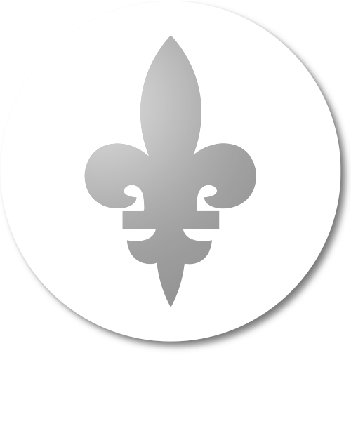 Shield image