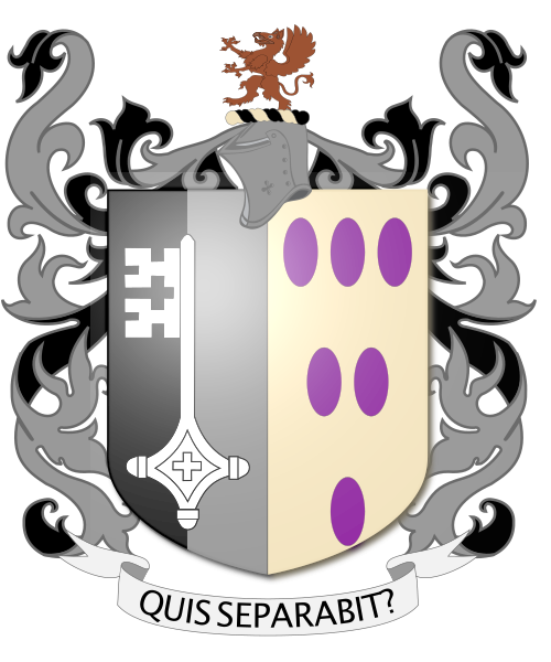 Shield image