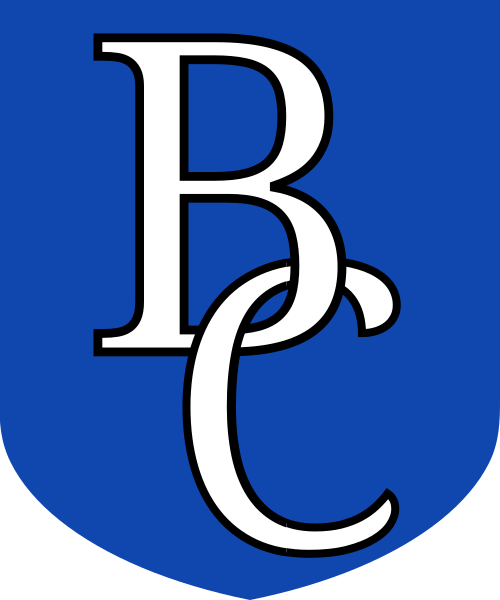 Shield image