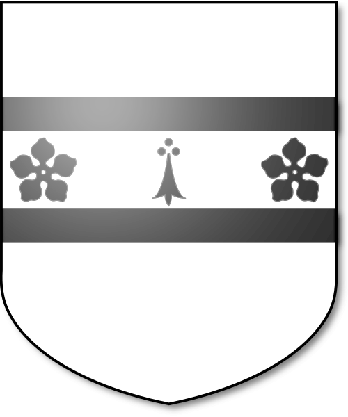 Shield image