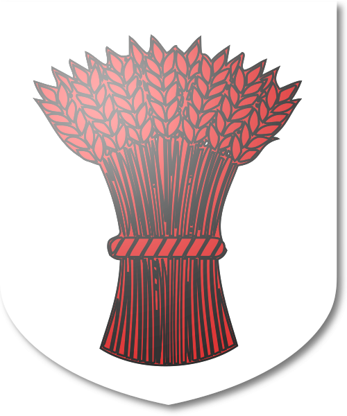 Shield image