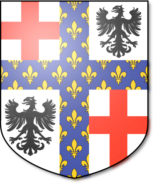 Shield image