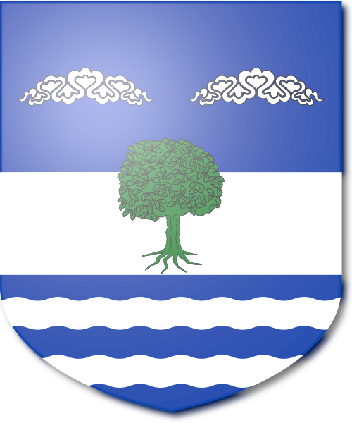 Shield image