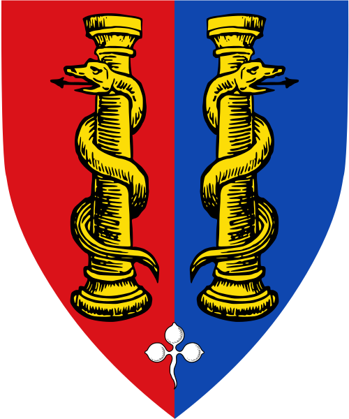 Shield image