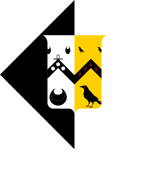 Shield image