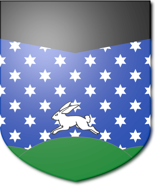 Shield image