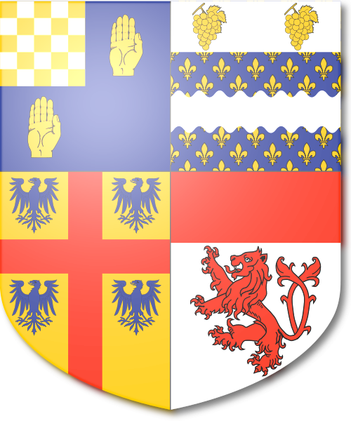 Shield image