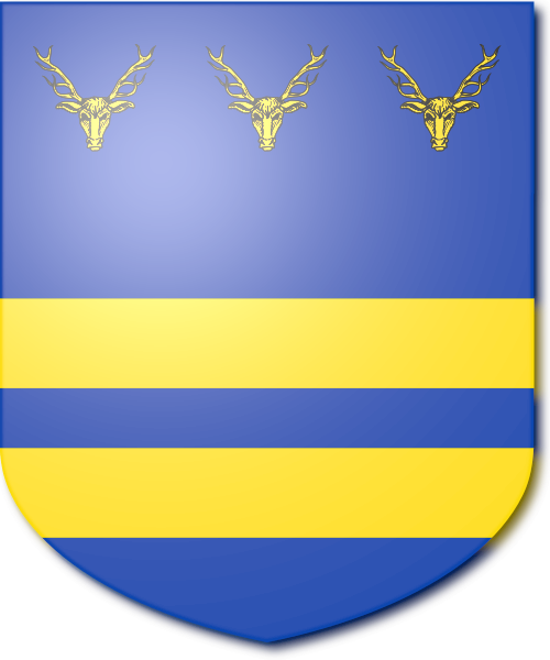 Shield image