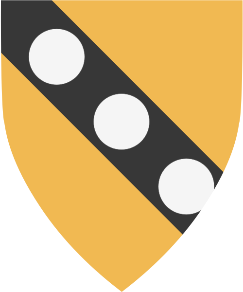 Shield image