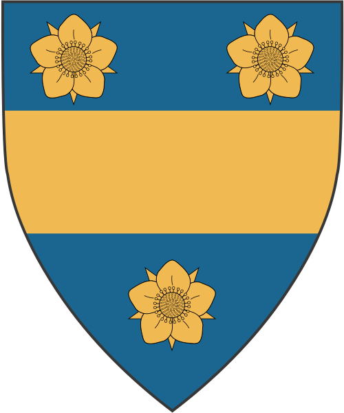 Shield image