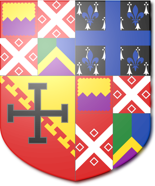 Shield image