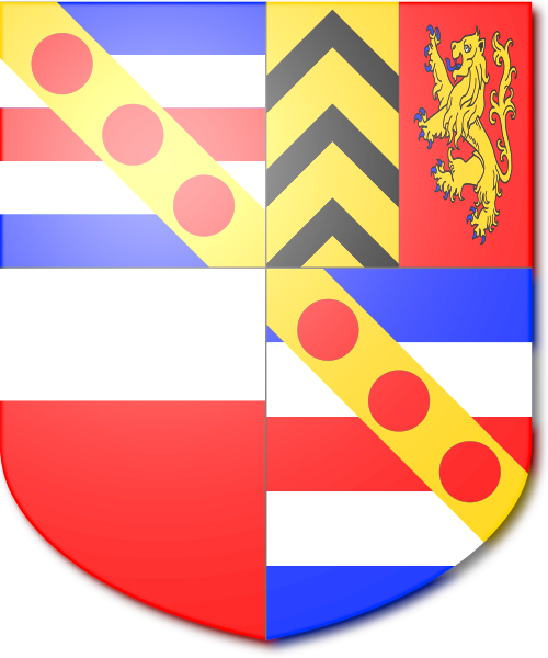Shield image