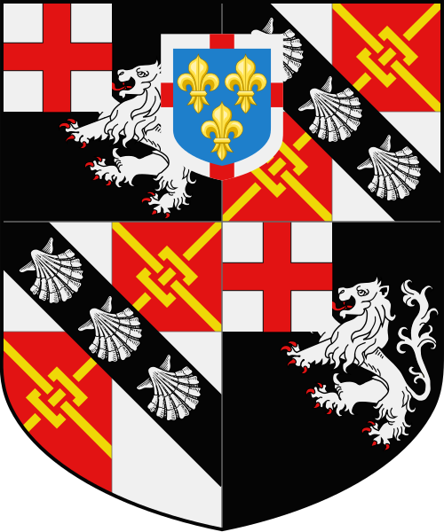 Shield image