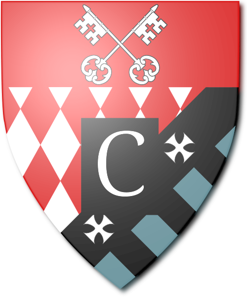 Shield image
