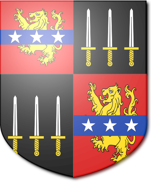 Shield image
