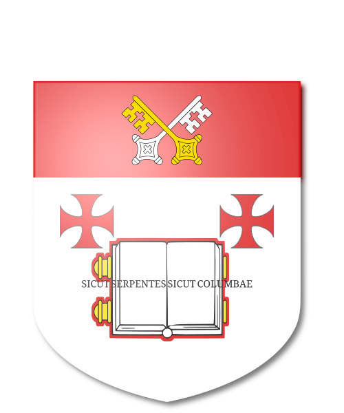 Shield image