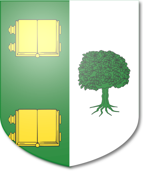 Shield image