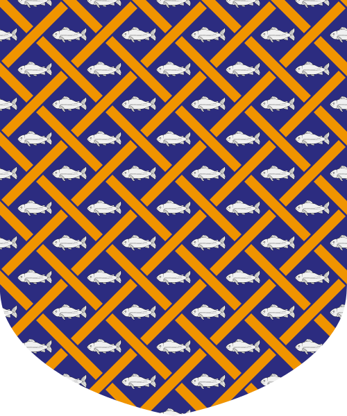 Shield image