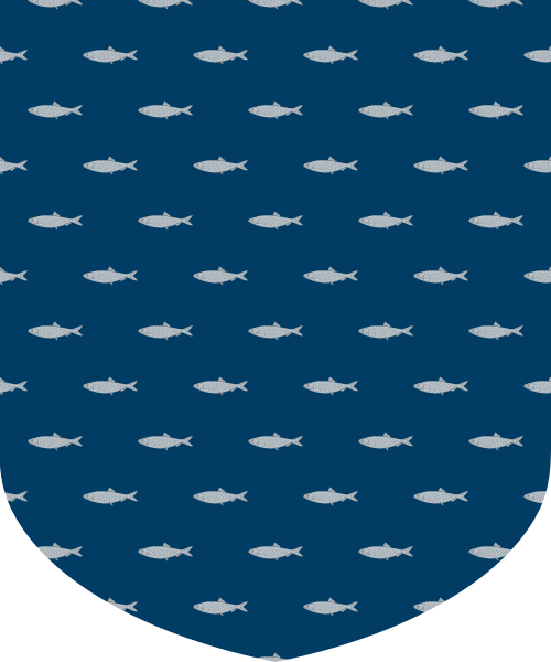 Shield image