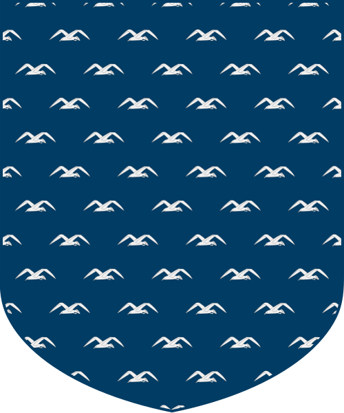 Shield image