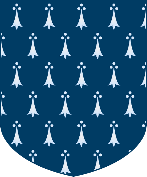Shield image
