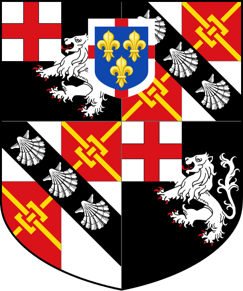 Shield image