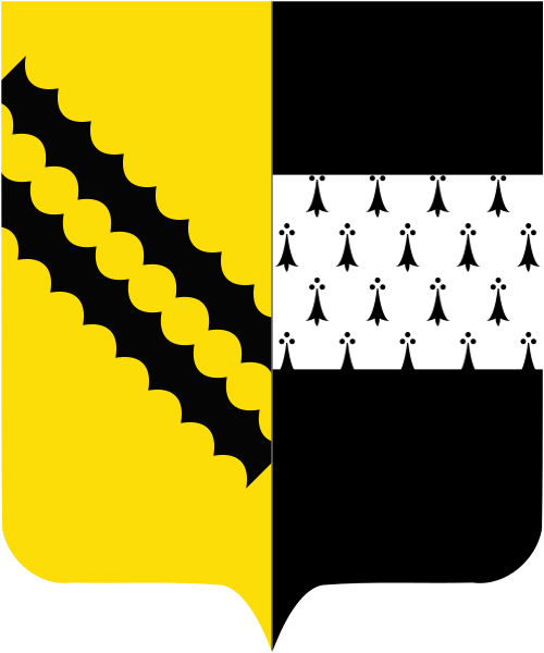 Shield image