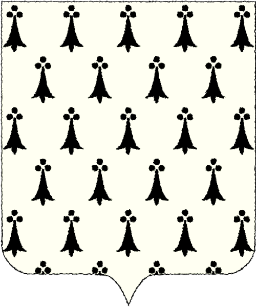 Shield image