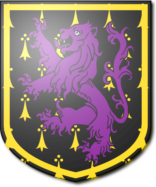 Shield image