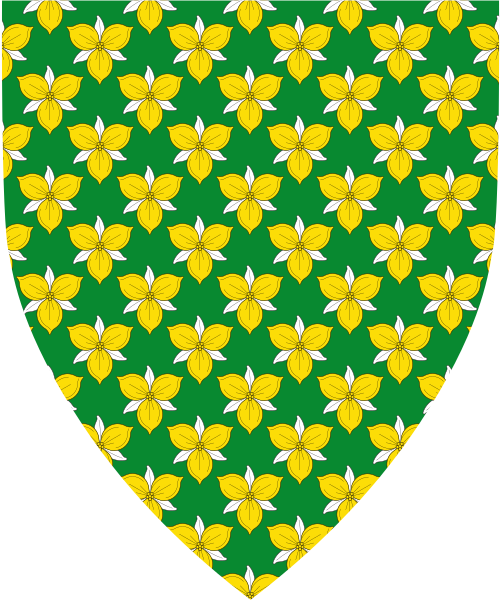 Shield image