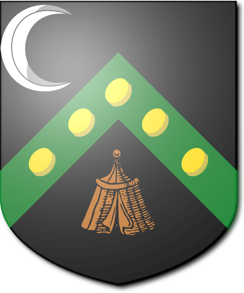 Shield image