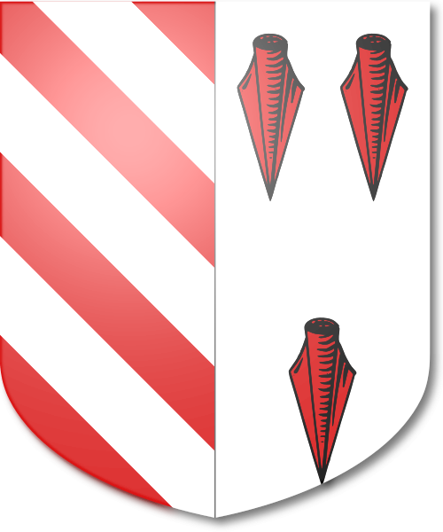 Shield image