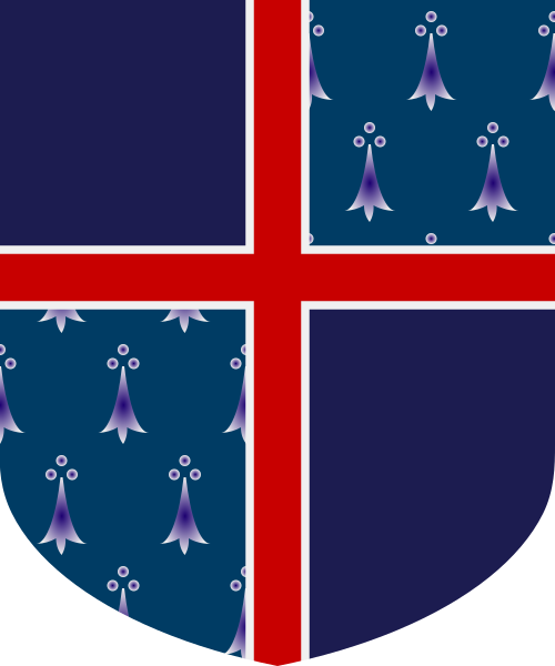 Shield image