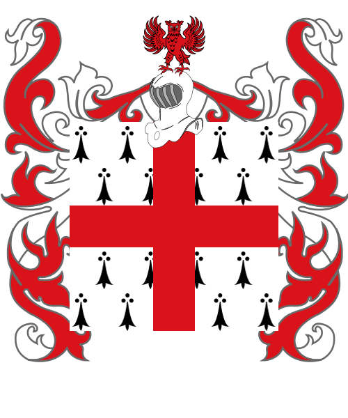 Shield image