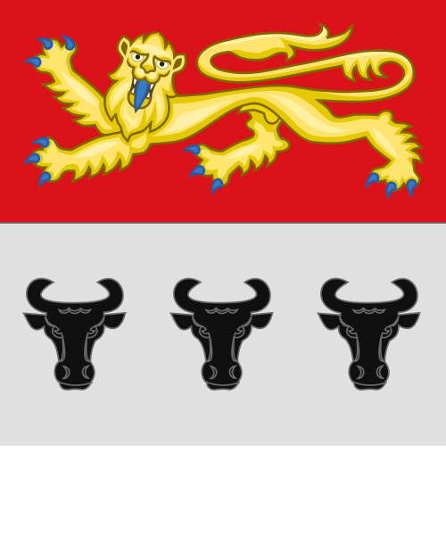 Shield image